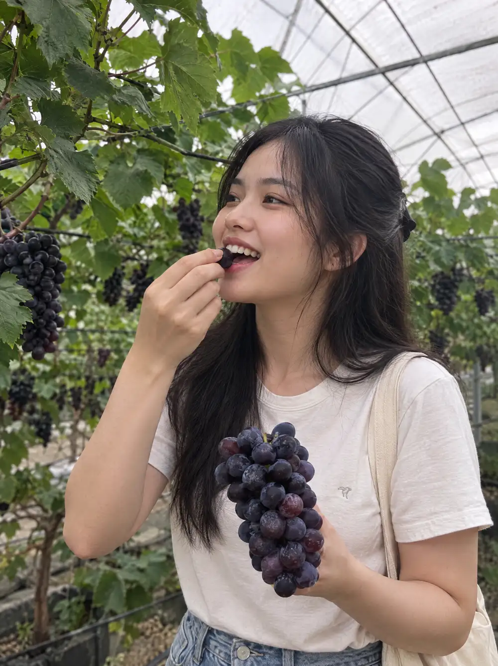 Khách ăn nho hạ đen vừa hái trong vườn